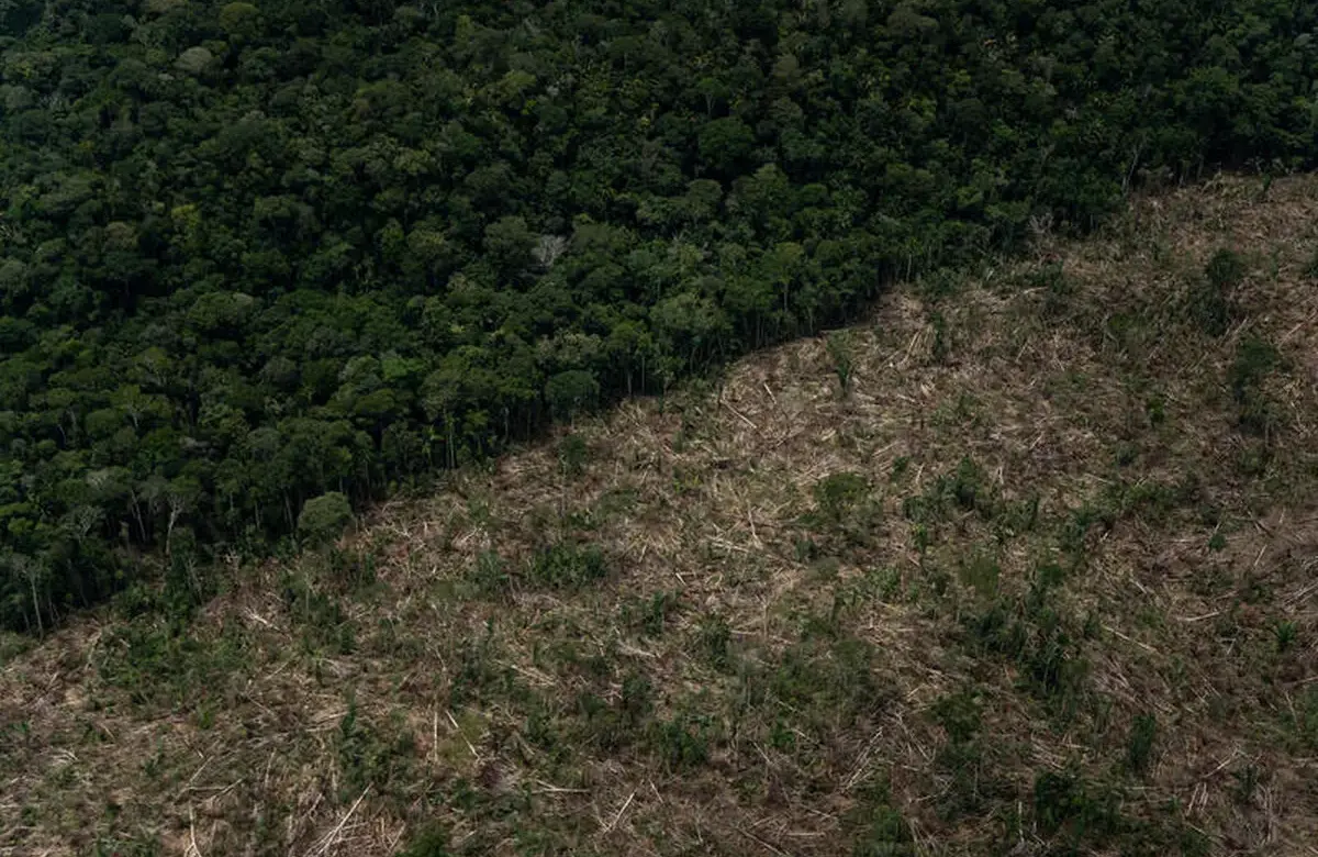 Desmatamento tem queda de 40% na Amazônia, mas está em alta no Cerrado