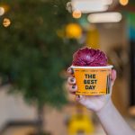 Empresa brasileira de açaí entra na lista das que mais crescem nas Américas segundo Financial Times