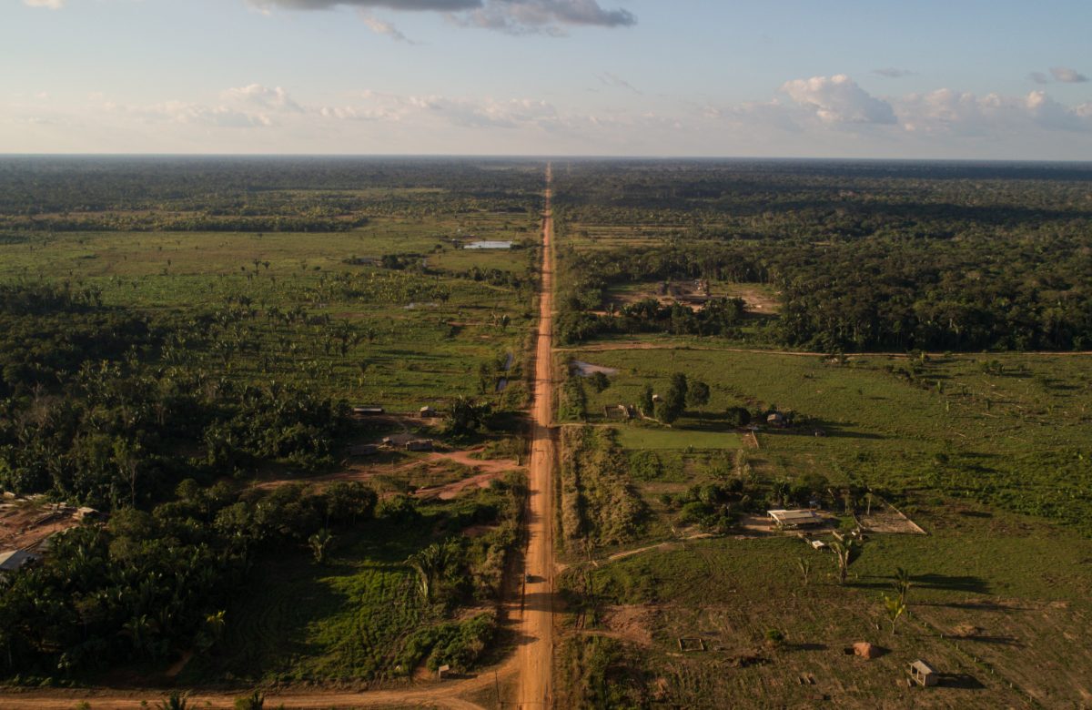 Justiça suspende licitações da BR-319 na Amazônia por impacto ambiental expressivo