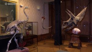 Museu de Amsterdã Transforma Fósseis Pré-Históricos em Obra de Arte: Conheça a Exposição Relics