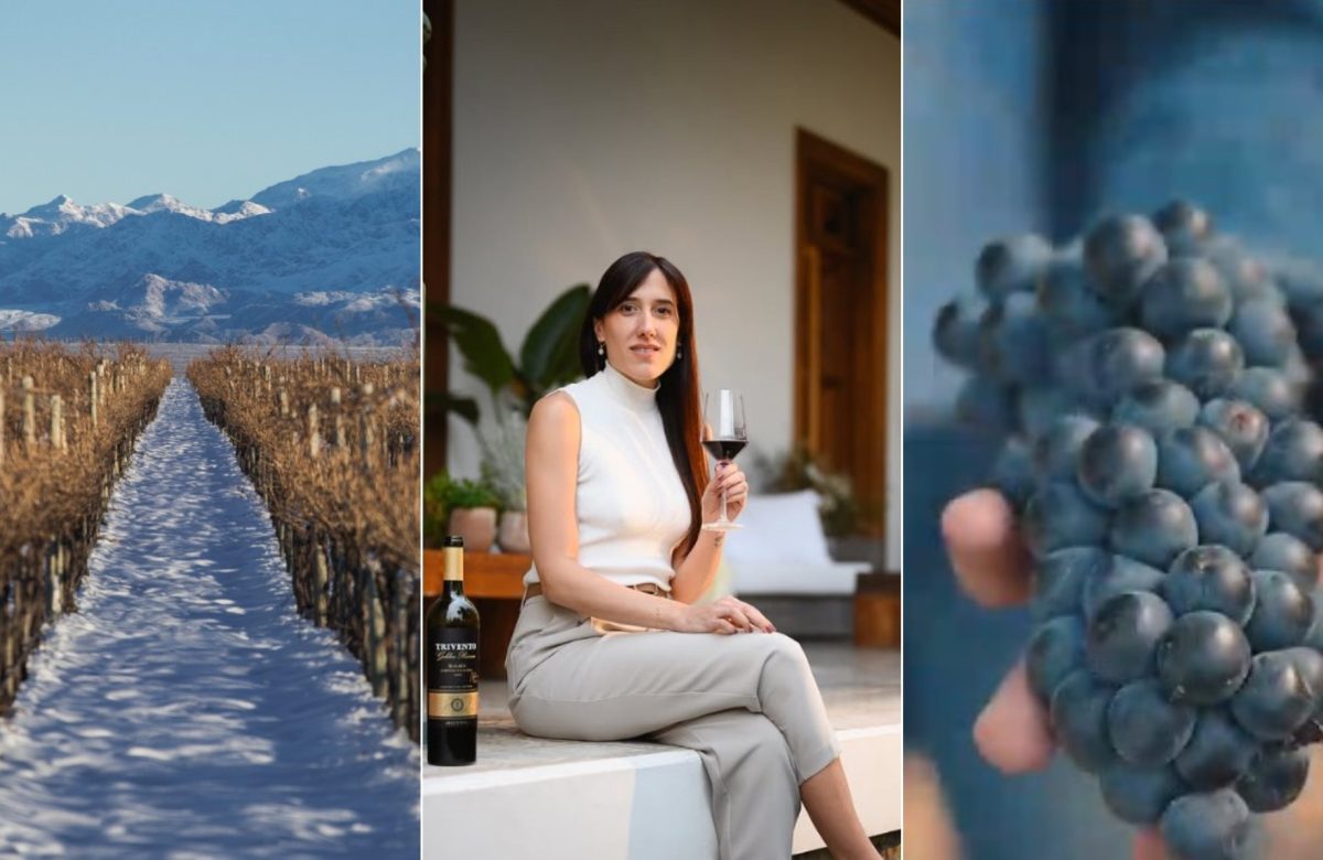 Trivento lança três novos vinhos Malbec no Brasil: conheça os rótulos premium da vinícola argentina