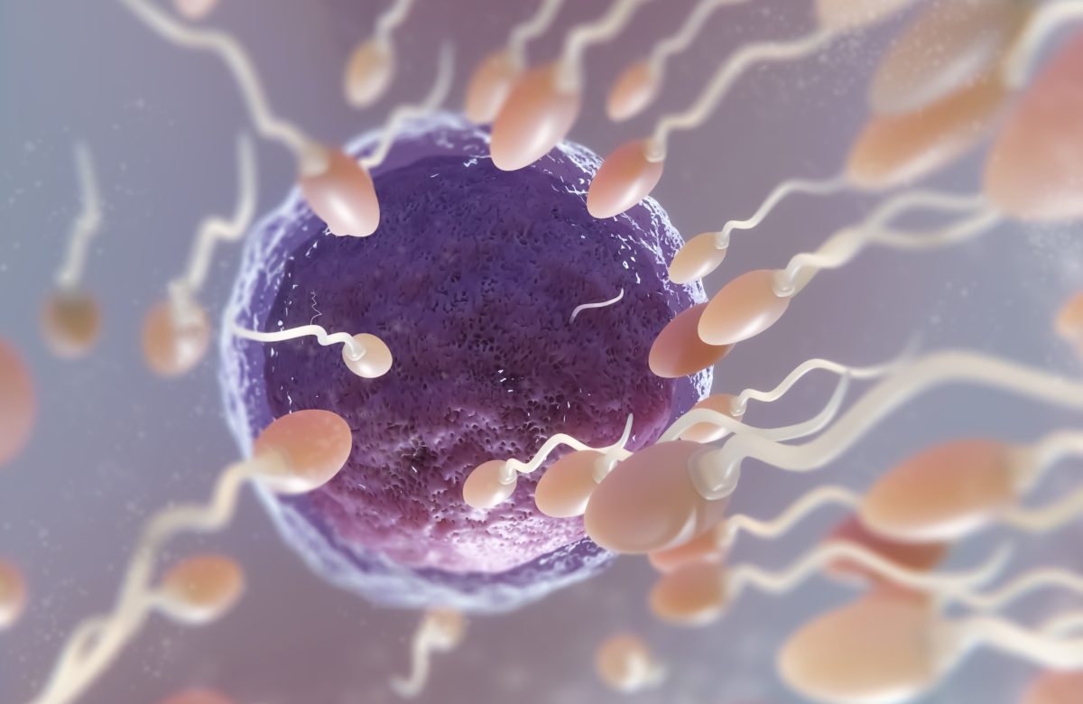 IA revoluciona tratamento de infertilidade: detecta espermatozoides invisíveis e possibilita gravidez
