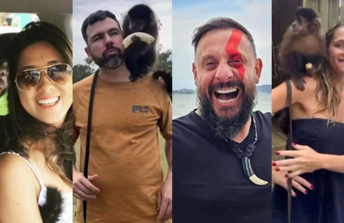 Polêmica do Macaco em Filme com Ingrid Guimarães: Disputa Judicial e Bem-Estar Animal em Foco