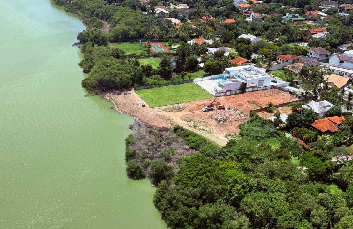 Manguezal é destruído em construção de luxo na Lagoa de Jacarepaguá: multa e embargo emitidos