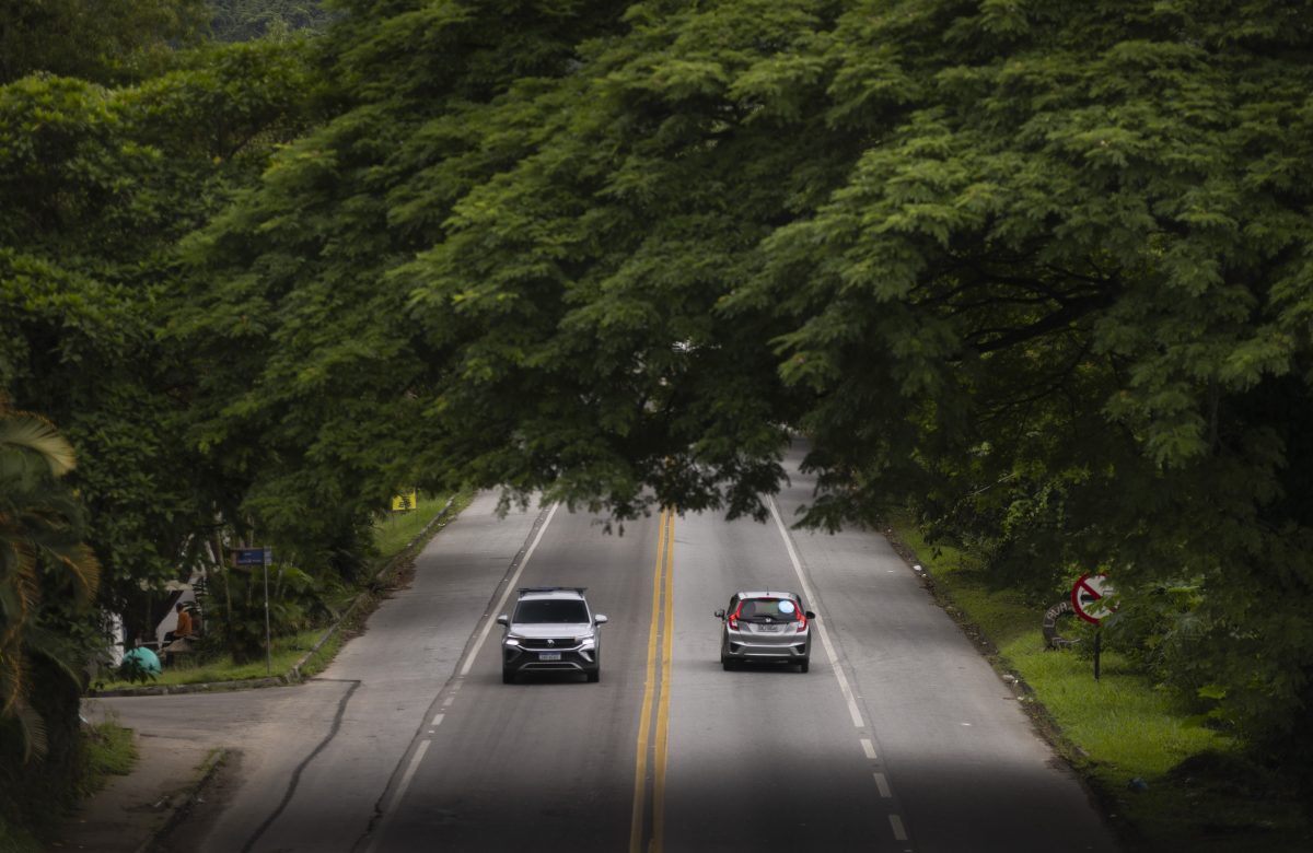 Mais de 1,2 milhão de sinistros em rodovias causados por problemas de saúde de motoristas