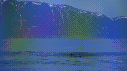 Surfistas Desafiam -20°C no Ártico da Noruega em Busca das Ondas Perfeitas