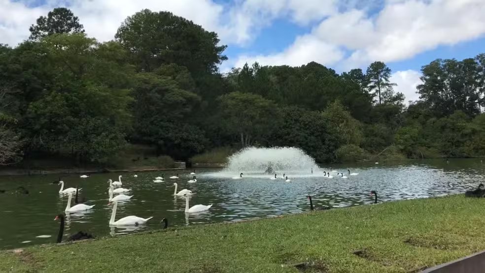Zoológico de Sapucaia do Sul suspende visitação após morte de 36 animais em duas semanas