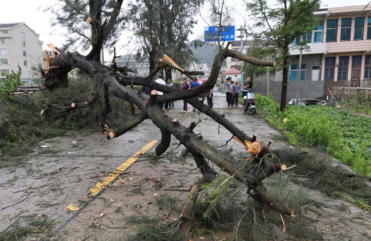 Coreia do Norte em alerta máximo: tufão Bavi aproxima-se com chuvas intensas e ventos destrutivos