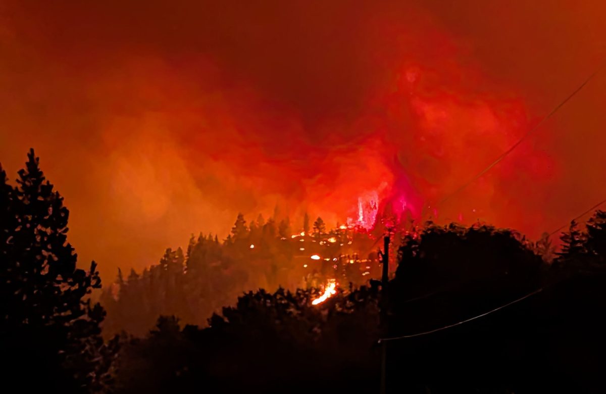 Incêndio Florestal no Canadá Dobra de Tamanho, Mata Idosa e Força Evacuação em Massa na Colúmbia Britânica
