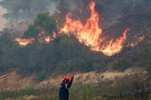 Incêndios florestais devastam Europa: três mortos na Grécia e Espanha, 84 mil campos de futebol queimados