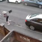 Vídeo Viral: Mulher é Perseguida e Atacada por Corvo Agressivo nas Ruas do Reino Unido